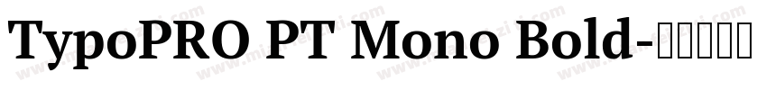 TypoPRO PT Mono Bold字体转换